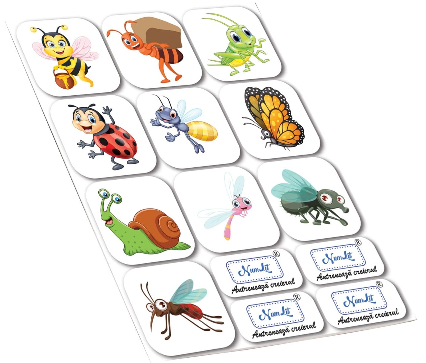 sticker insecte jpg